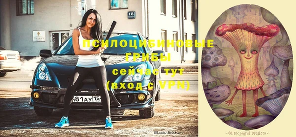 хмурый Медвежьегорск