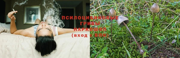мефедрон Медногорск
