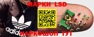 прущая мука Гатчина