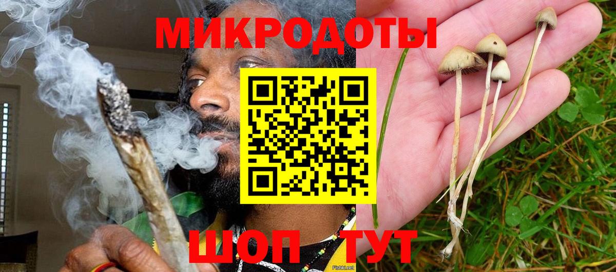 где продают наркотики  Копейск  Галлюциногенные грибы MAGIC MUSHROOMS 