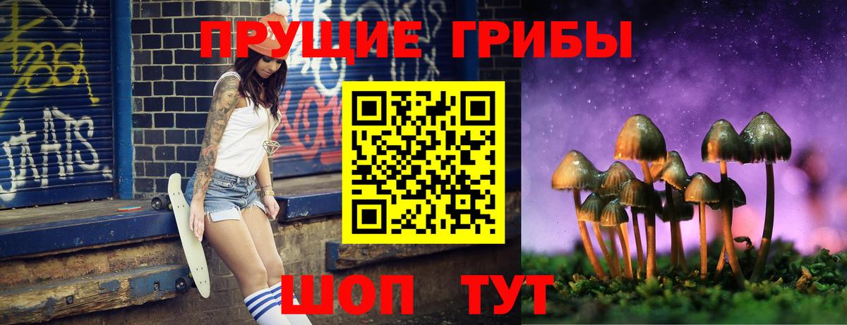 Галлюциногенные грибы мицелий  Вход с VPN  Галлюциногенные грибы GOLDEN TEACHER  Копейск 